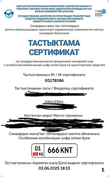 универсальные катализаторы: 01KG666KNT
сразу оформление и мини торг — 1