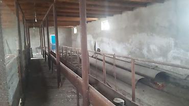 bakı evler: Sabunçu qəs. 3 otaqlı, 65 kv. m, Kredit yoxdur, Orta təmir — 6