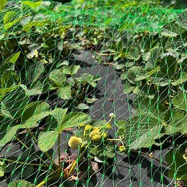 Защитные сетки от птиц: Защитные сетки от птиц, Самовывоз — 9