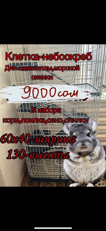 продаются щенки немецкой овчарки: Клетка для всех грызунов