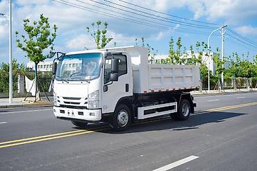 Грузовики: Грузовик, Isuzu, Стандарт, Новый — 12