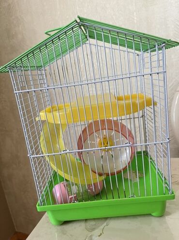 Akvarium aksessuar və ləvazimatları: Siçanlar üçün nəzərdə tutulmuş, yaşıl rəngdə altlığı və damı olan