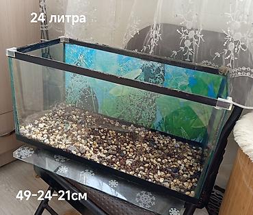 Аквариум на 24 литра. - Габариты: 49 × 24 × 21 см (указаны на фото)