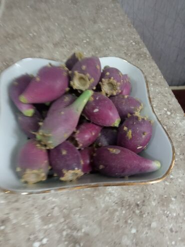 Digər qida məhsulları: Məhsul: Kaktus armudu (Opuntia) – bənövşəyi meyvə Təsvir: -