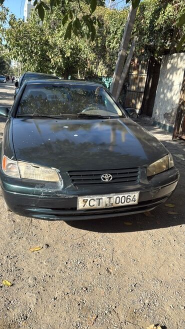 ремень безопасности камри: Toyota Camry: 1997 г., 3 л, Автомат, Бензин, Седан