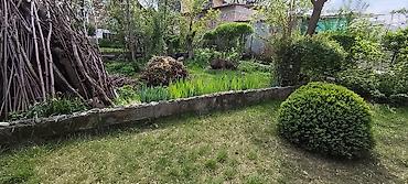 Продажа дач: Продаётся дача с домом и ухоженным участком (с. Нижняя Серафимовна, ДТ — 17