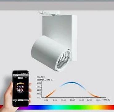 Rasveta: Kiteo K-Forum Stromschienenstrahler PI‑LED, NeoLink – crni - Tip: LED — 24