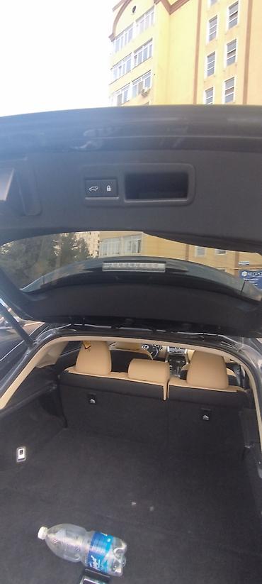 lync co: Lexus NX: 2018 г., 2.5 л, Гибрид — 7