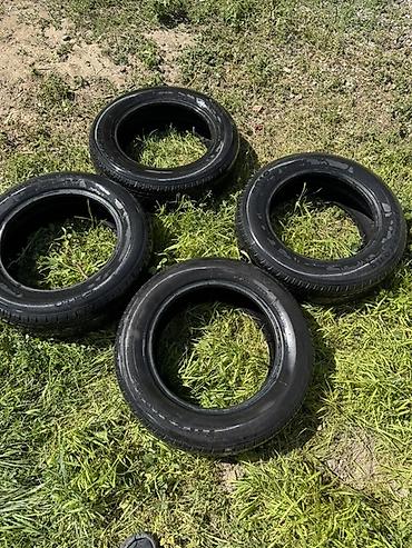 14: Комплект из 4 автомобильных шин Sailun Atrezzo Eco (FR10) 175/65 R14 — 3