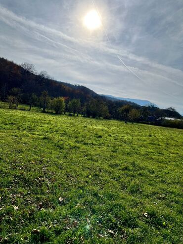 Torpaq sahələrinin satışı: 18 sot, Biznes üçün, Kupça (Çıxarış) — 8
