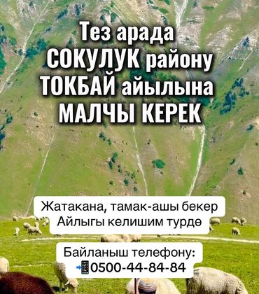 охрана сб: Тез арада СОКУЛУК району ТОКБАЙ айылына МАЛЧЫ КЕРЕК Жатакана