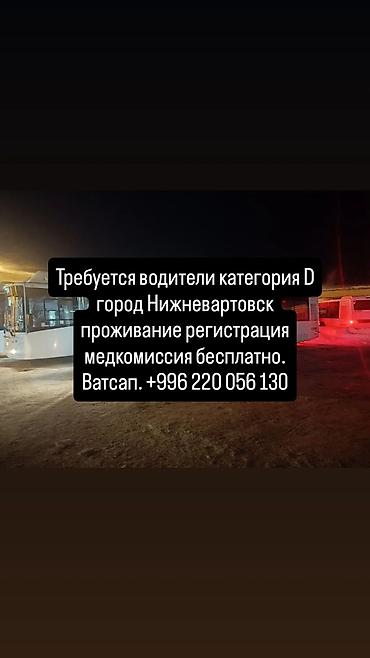 Водители автобуса, буса: Требуется Водитель автобуса, буса, Категория прав (D), 1-2 года опыта, Пятидневка, Старше 23 лет, Официальное трудоустройство — 1