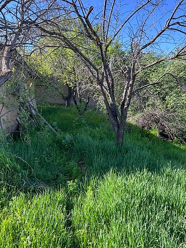 Продажа домов: Дом, 36 м², 2 комнаты, Собственник at lalafo.kg — 12 Продажа домов: Дом, 36 м², 2 комнаты, Собственник — 12