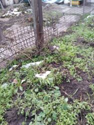 прек дом: Решетки для заборов