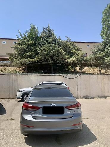 Hyundai: Hyundai Elantra: 2 l | 2017 il Sedan — 5
