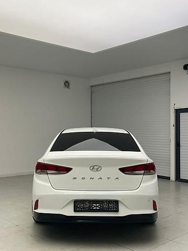 byd yan plus: Hyundai Sonata: 2019 г., Седан — 7