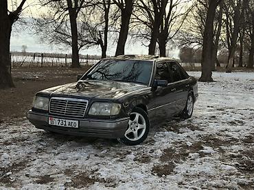 Mercedes-Benz: Mercedes-Benz E-Class: 1994 г., 2.2 л, Механика, Бензин, Седан — 12