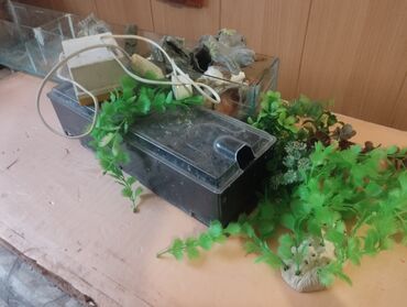 Аквариумы: Декорации,2сампа, советский компрессор