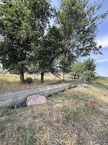 ысык куле: 120 соток, Курулуш, Сатып алуу-сатуу келишими, Кызыл китеп, Техпаспорт — 2