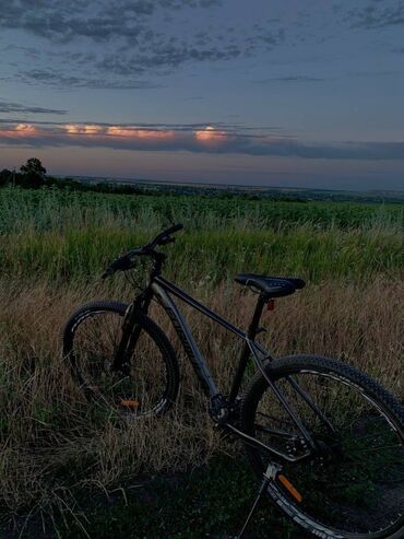 купить велик mtb: Куплю велосипед для себя