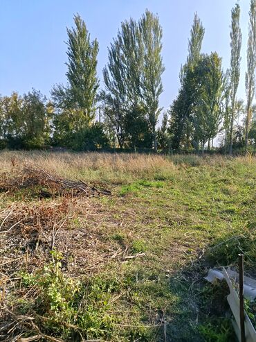 бишкек продаю дом село дордой 2: 4 соток, Для строительства, Красная книга, Тех паспорт, Договор купли-продажи