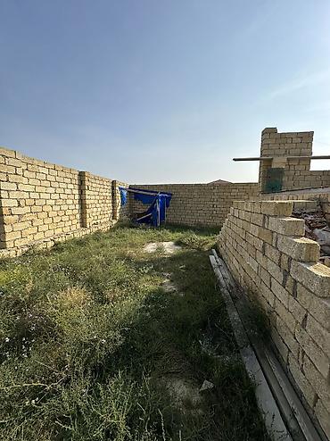 torpaa: 3 sot, Tikinti, Maklerlər narahat etməsin, Kupça (Çıxarış) — 1