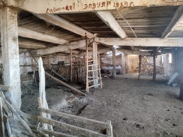 Продажа участков: 15 соток, Красная книга, Договор купли-продажи, Тех паспорт at lalafo.kg — 17 Продажа участков: 15 соток, Красная книга, Договор купли-продажи, Тех паспорт — 17