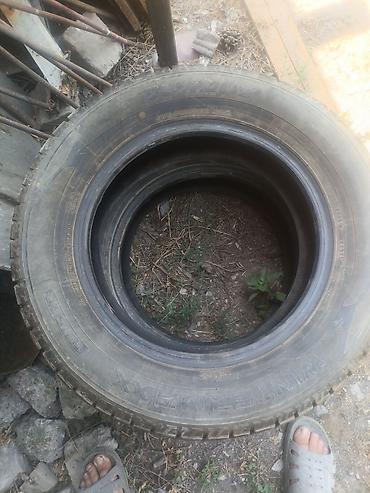 165 13: Зимние шины Dunlop Winter Maxx 195/65 R15 91Q. без шишек и трещин в — 3
