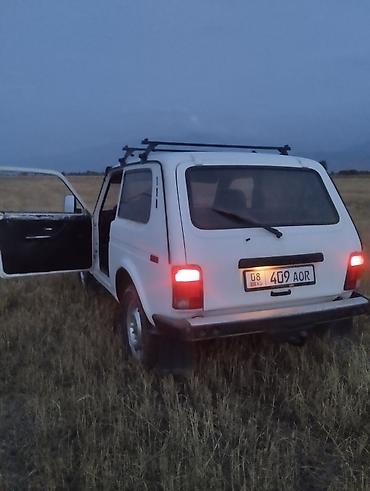 4а фе: ВАЗ (ЛАДА) 4x4 Нива: 2001 г., 1.7 л — 3