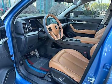 Weltmeister: Weltmeister W6, 2021 г., 60000 км, На заказ — 7