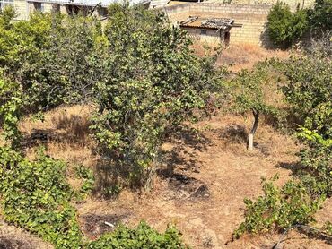 Bağ evlərinin satışı: Bağ evi / həyət evi - İki mərtəbəli tikili, üstü mansardvari hündür — 13