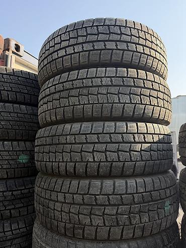 daf 75: Шины 195 / 65 / R 15, Зима, Б/у, Комплект, Легковые, Япония, Dunlop — 1