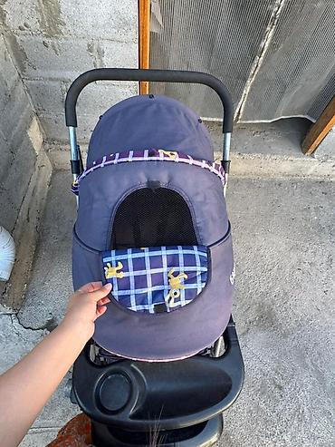 Коляски: Прогулочная коляска - Легкая складная рама с плавным механизмом — 1