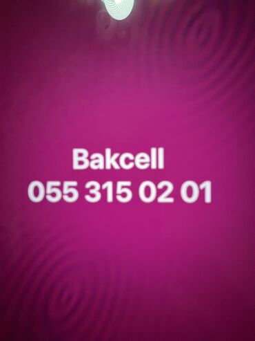 azercell data kart qiymeti: Nömrə: ( 055 ) ( 3150201 )