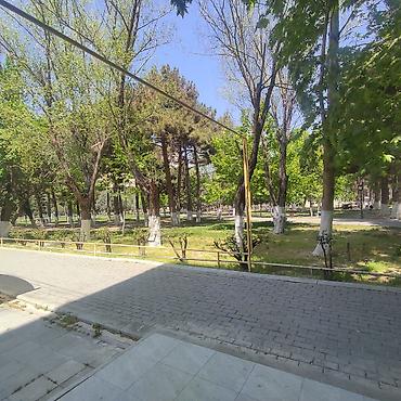 İcarəyə restoran və kafelər: Obyekt icareye verilir Xirdalan seheri Heyder Əliyev prospektinde — 1