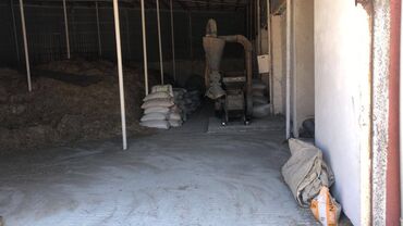 Torpaq sahələrinin satışı: 48 sot, Kənd təsərrüfatı, Makler, Kupça (Çıxarış) — 15