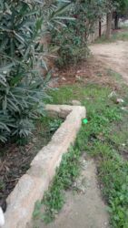 Torpaq sahələrinin satışı: 5 sot, Kənd təsərrüfatı, Mülkiyyətçi, Kupça (Çıxarış), Bələdiyyə -da lalafo.az — 4 Torpaq sahələrinin satışı: 5 sot, Kənd təsərrüfatı, Mülkiyyətçi, Kupça (Çıxarış), Bələdiyyə — 4