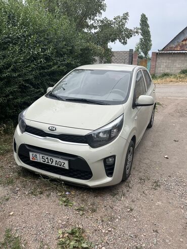 электромобиль в рассрочку в бишкеке: Kia Morning: 2019 г., 1 л, Автоматические, Бензин, Хэтчбэк