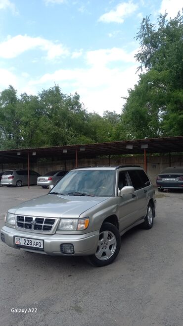 коробка на форестер: Subaru Forester: 2000 г., 2.5 л, Автомат, Газ, Кроссовер