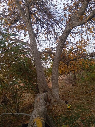 велосипет ош: Футбольный мяч для игры на улице - Классическая форма, шестигранная