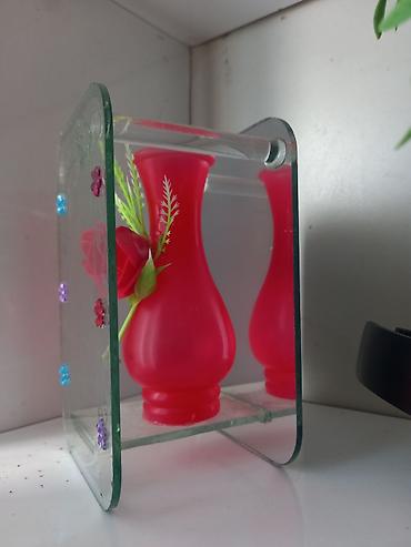 Çöl bitkiləri: Pelargonium (qızılqol) saksı gülləri və sukkulent - Növ: Pelargonium — 7