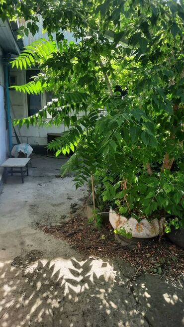 Продажа домов: Дом, 89 м², 5 комнат, Агентство недвижимости, Старый ремонт — 9