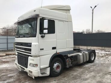 Тягачи: Тягач, DAF, 2006 г., Без прицепа — 7