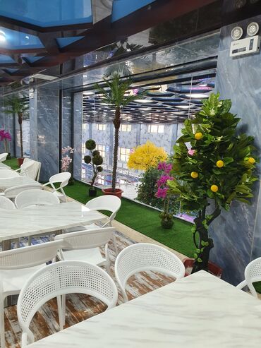 Башка үй декору: Ландшафный дизайн разных цвите и электроне светящи цена от 700 сом