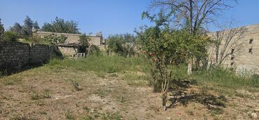 купить дом в баку хырдалан: 5 sot, Tikinti, Mülkiyyətçi, Kupça (Çıxarış)