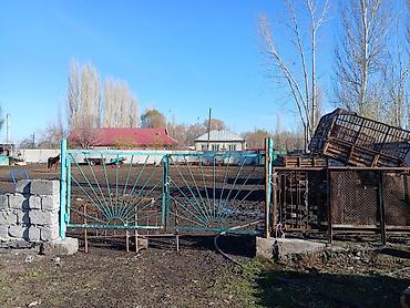 Продажа коттеджей и домов: Продаётся большой дом в селе Петровка с большим участком 40 — 12