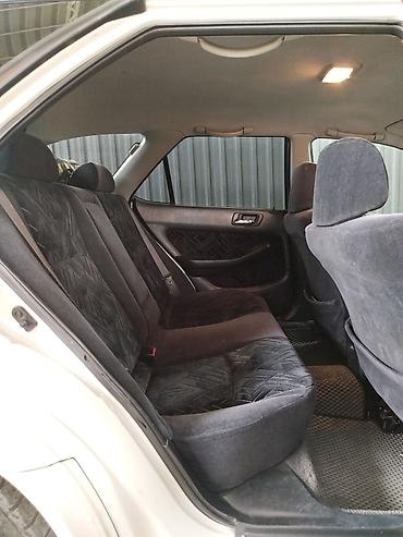 корректировка одометра: Honda Accord: 2001 г., 2.3 л, Типтроник, Газ, Универсал — 8