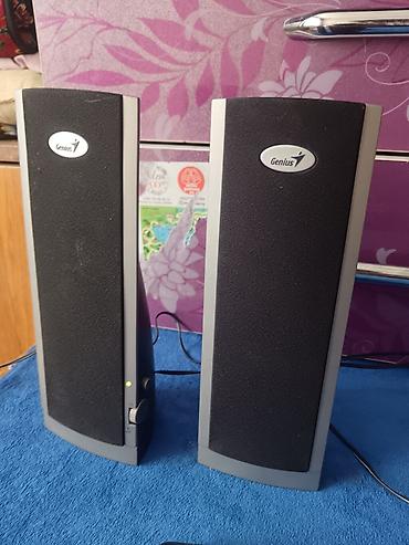 Колонки для ПК и ноутбуков: Колонки Genius 2.0 для компьютера/ноутбука/телефона - Формат — 1
