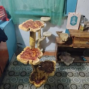 Полки, этажерки для цветов: Полка, этажерка для цветов, Дерево — 5