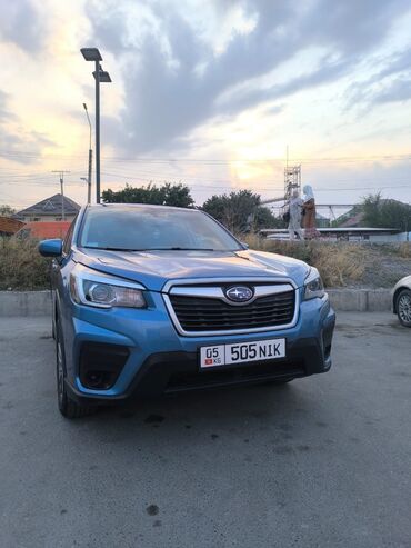 Subaru: Subaru Forester: 2019 г., Автомат, Бензин, Кроссовер — 12